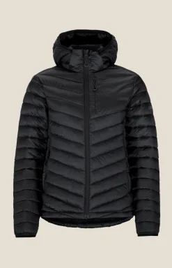 CORE Explore Lt. Insulation Jkt W